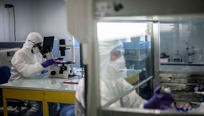 美國科學(xué) 創(chuàng)建了 個 狀病毒3D原子比例圖