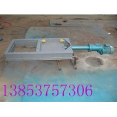 DPZ型電液動平板閘門 手動（電液動）閘門