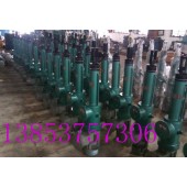 DYT(B)防爆型電液推桿  防爆電動(dòng)液壓推桿廠家直銷