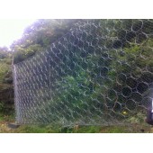邊坡鋼絲網