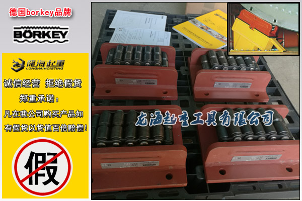 德國AM系列載重搬運(yùn)車圖片