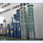 6618里茨深井泵、6613T深井潛水泵、葫蘆式井用泵選型