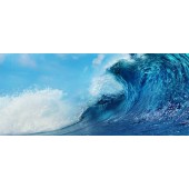 海洋環境模擬試驗室